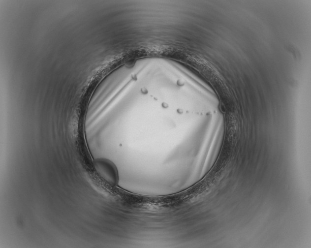 X0000112890496200909111507