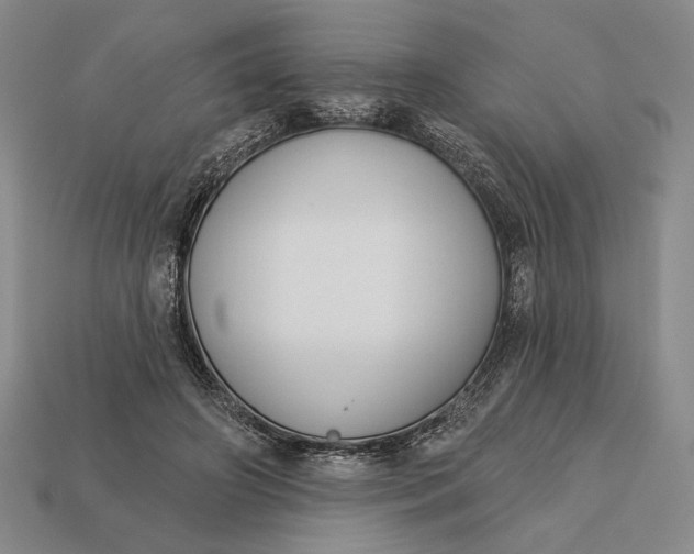 X0000112890498200909111507