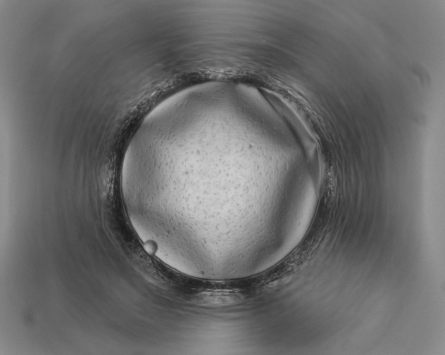 X0000112890499200909111507
