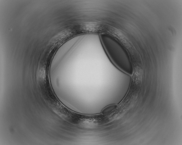 X0000112890500200909111507