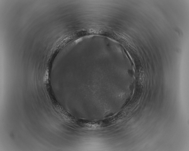 X0000112890502200909111507
