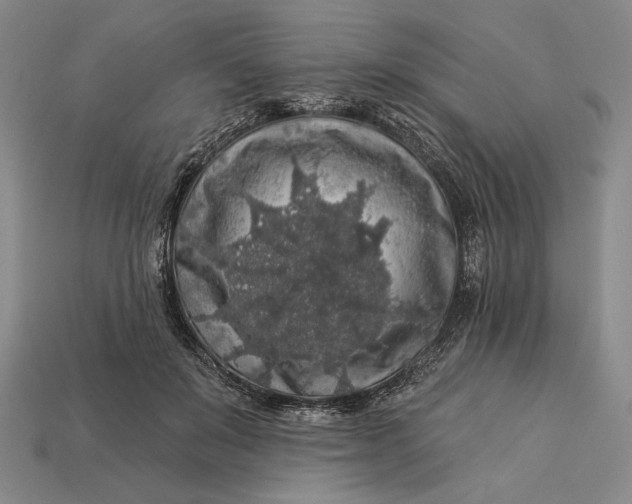 X0000112890503200909111507