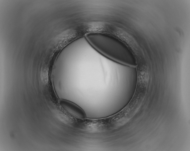 X0000112890504200909111507