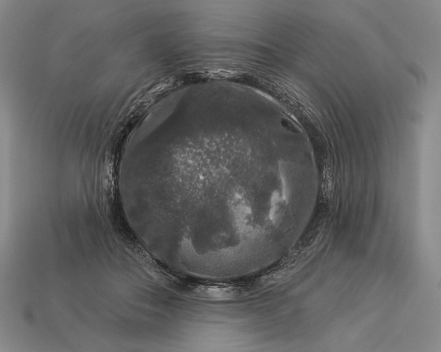 X0000112890506200909111507