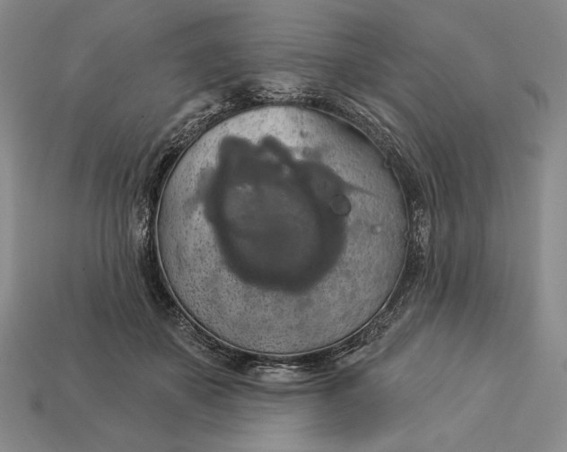 X0000112890507200909111507