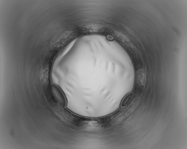 X0000112890509200909111506