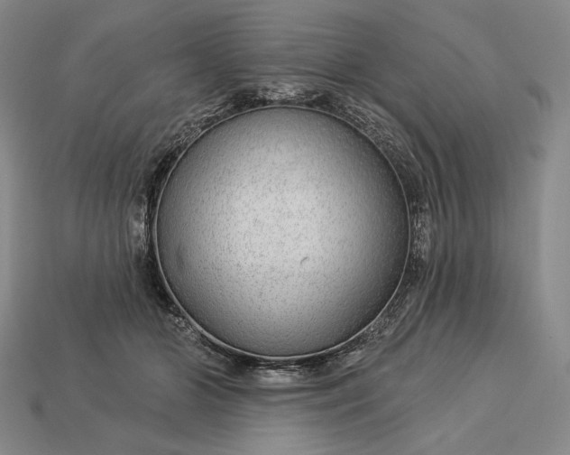 X0000112890510200909111506