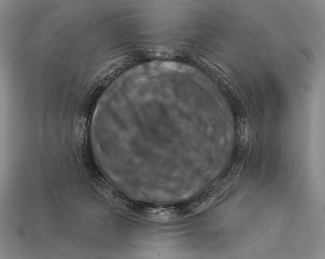 X0000112890511200909111506