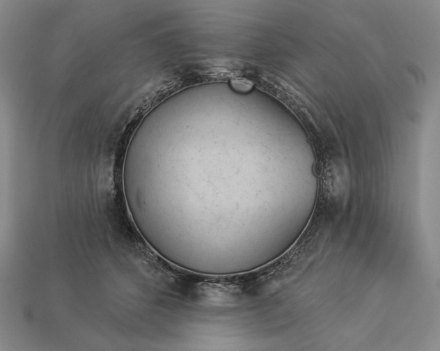 X0000112890512200909111506