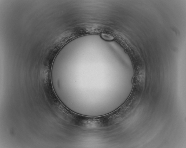 X0000112890513200909111506