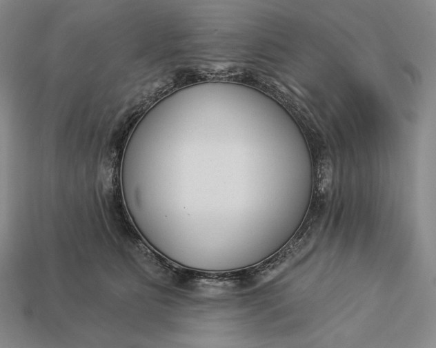 X0000112890515200909111506