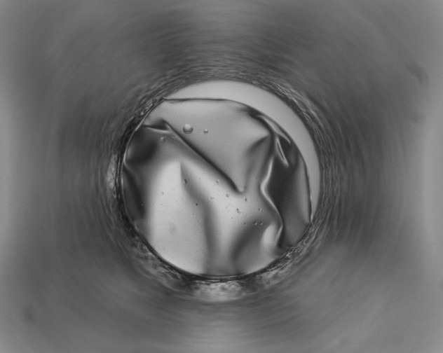 X0000112890517200909111506