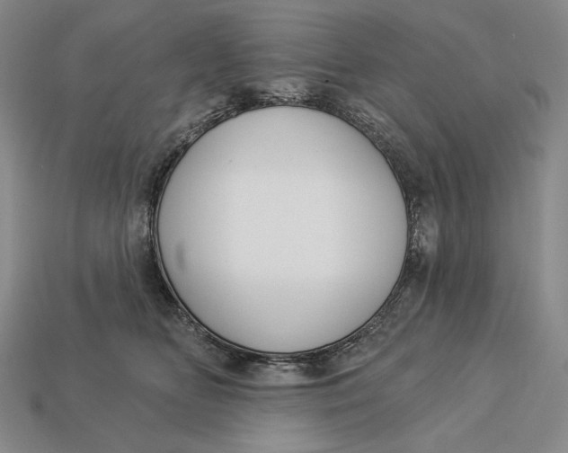 X0000112890518200909111506