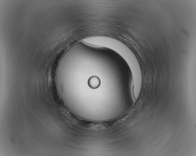 X0000112890520200909111506