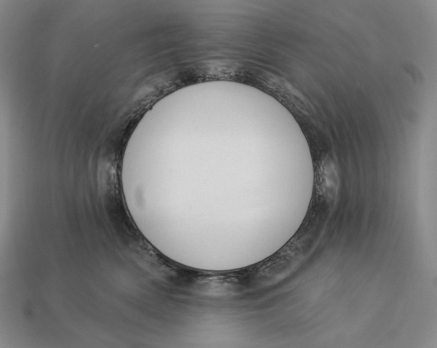 X0000112890522200909111506