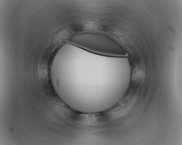X0000112890524200909111506
