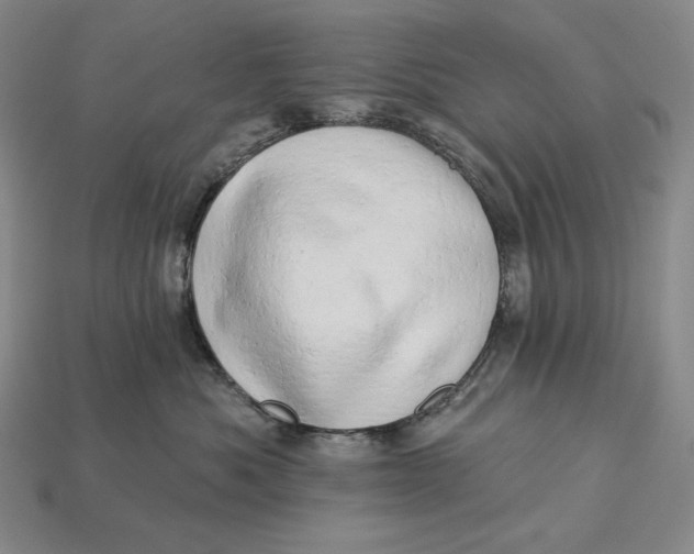 X0000112890525200909111506