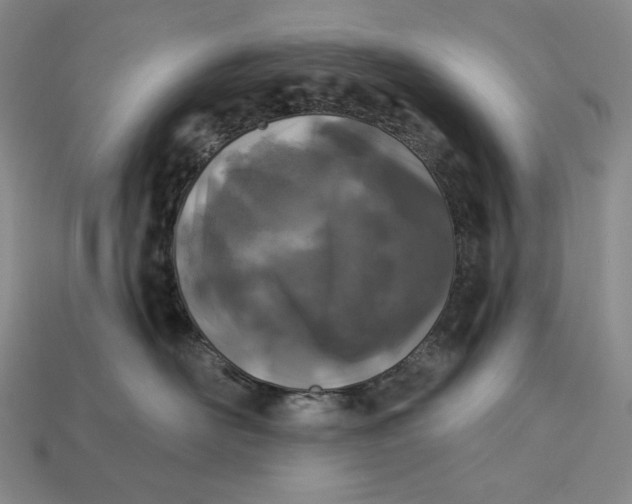 X0000112890526200909111506