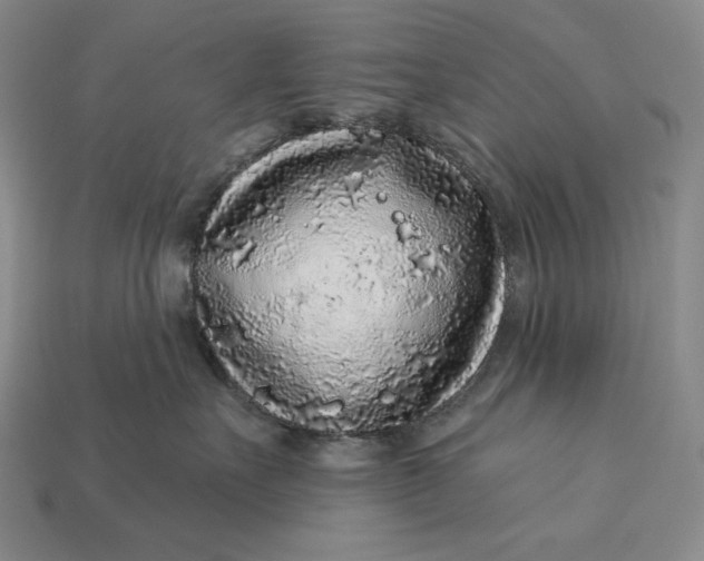 X0000112890527200909111506