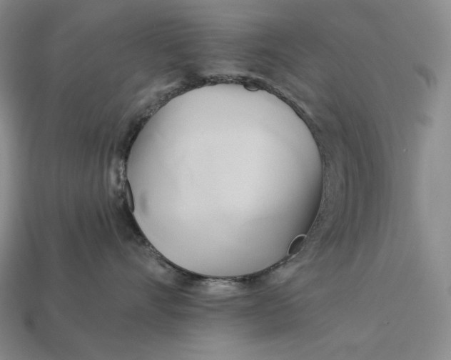 X0000112890528200909111506
