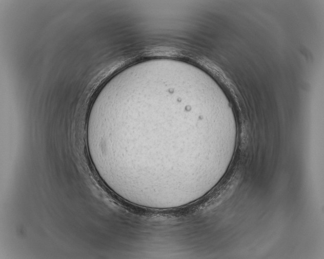 X0000112890529200909111506