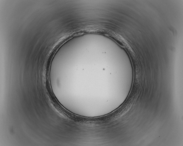 X0000112890530200909111506