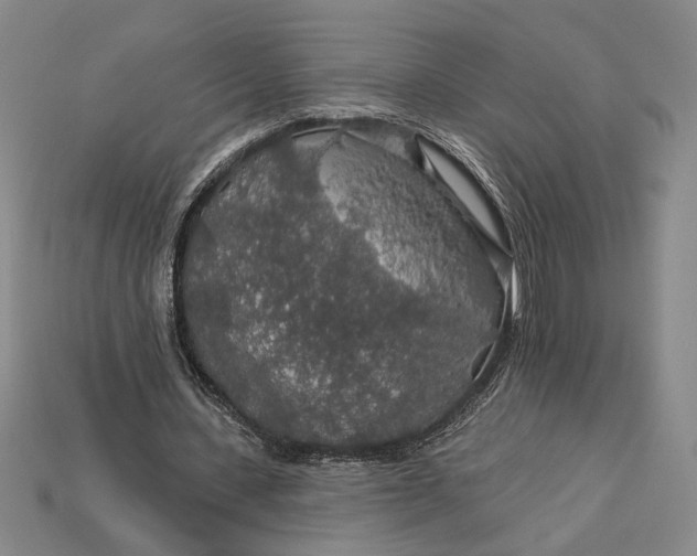 X0000112890531200909111506