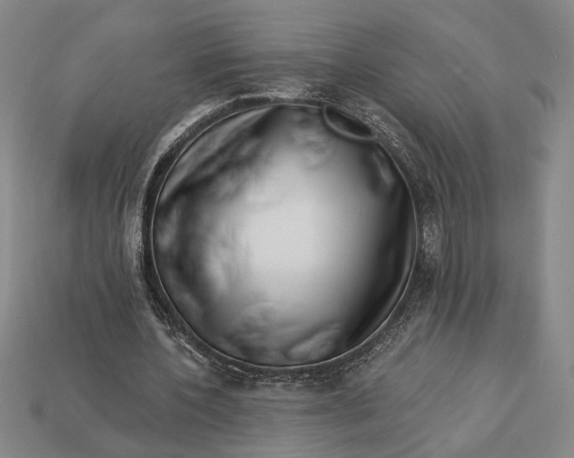 X0000112890532200909111506