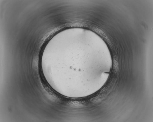 X0000112890534200909111506