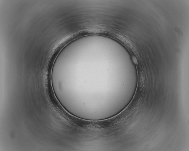 X0000112890535200909111506