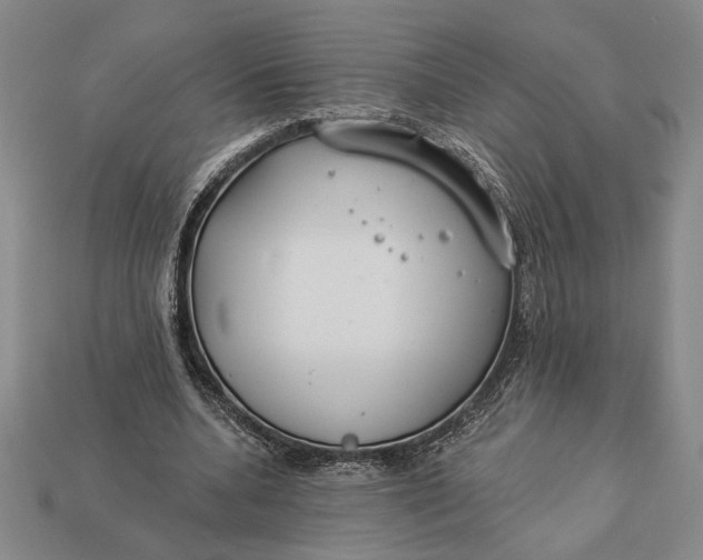 X0000112890536200909111506