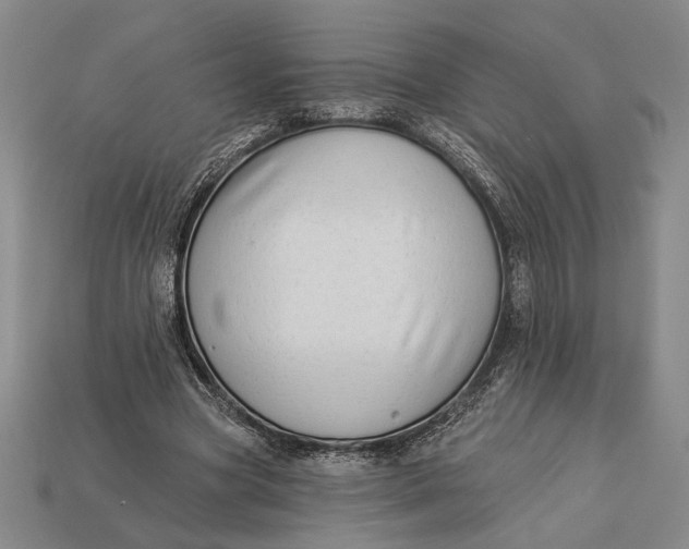 X0000112890537200909111506