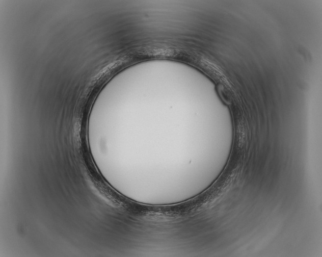X0000112890538200909111506
