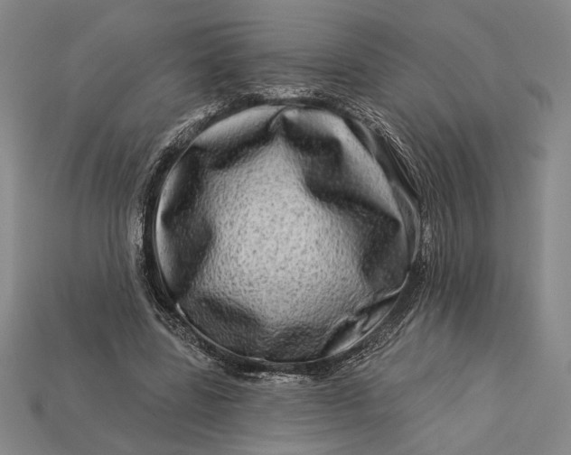 X0000112890539200909111506