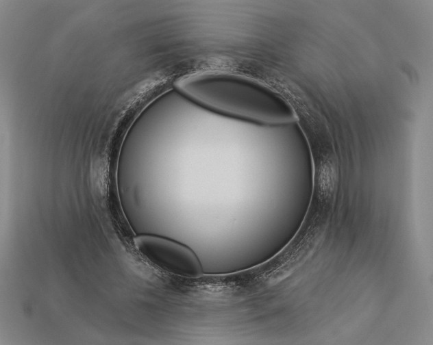 X0000112890540200909111506