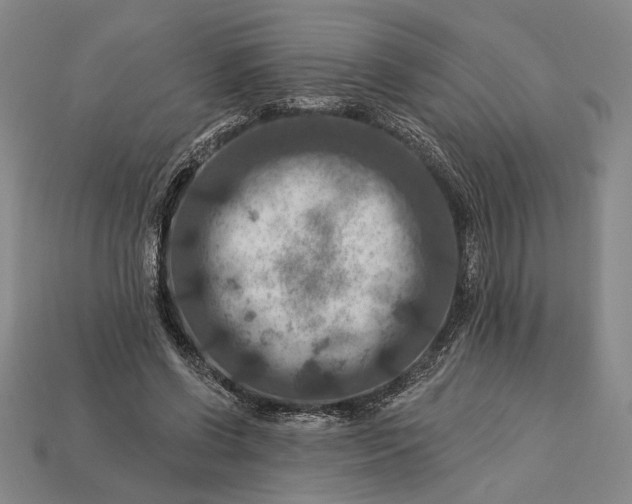 X0000112890542200909111506