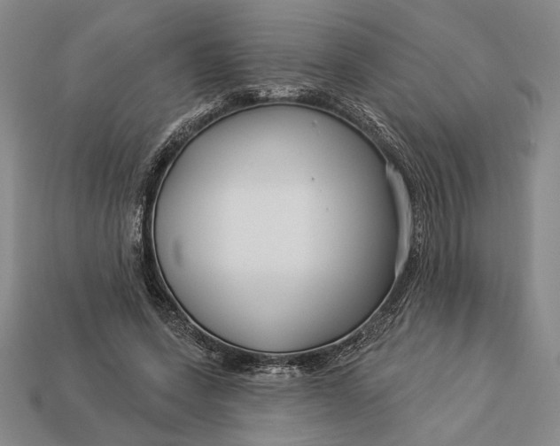 X0000112890543200909111506