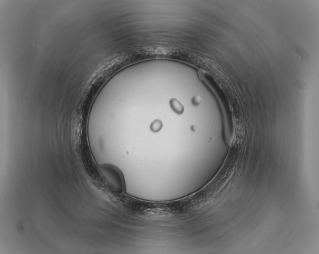 X0000112890544200909111506