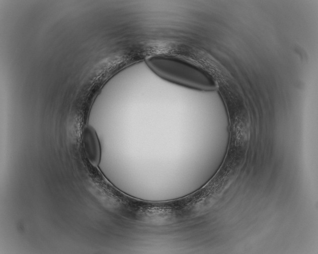X0000112890546200909111506