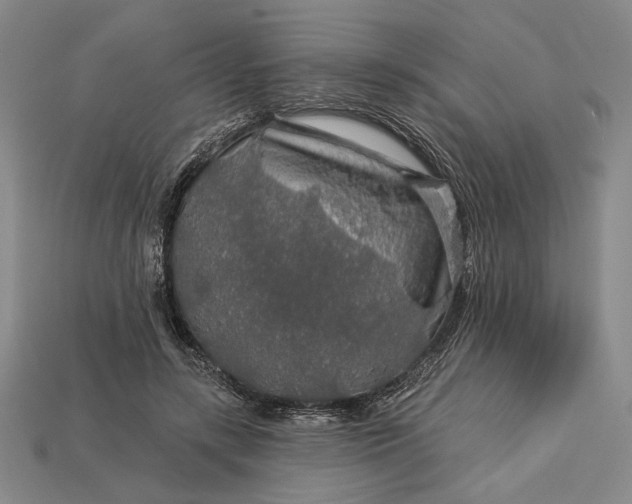 X0000112890547200909111506
