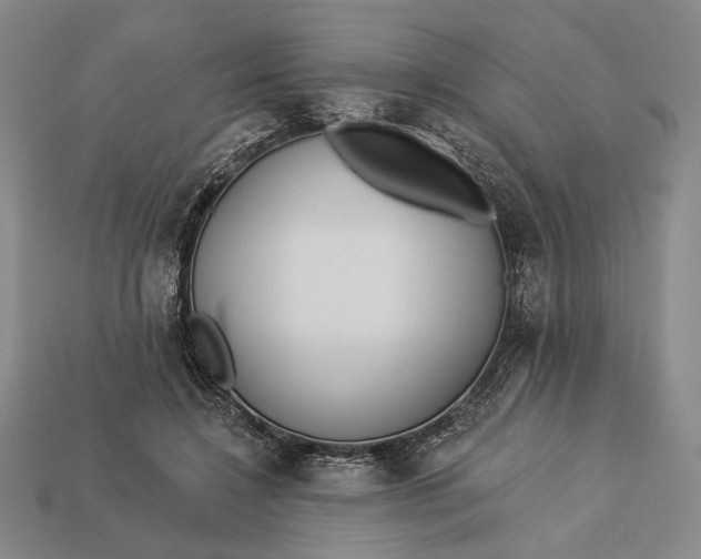 X0000112890548200909111506
