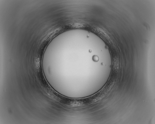 X0000112890549200909111506
