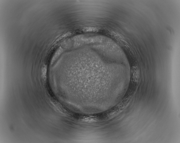 X0000112890550200909111506