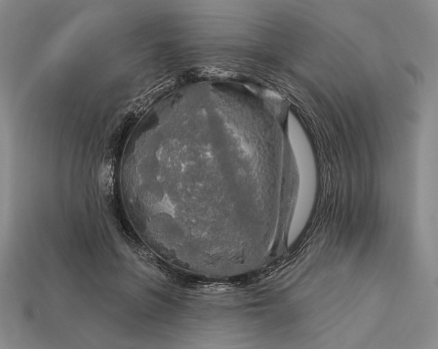 X0000112890551200909111506