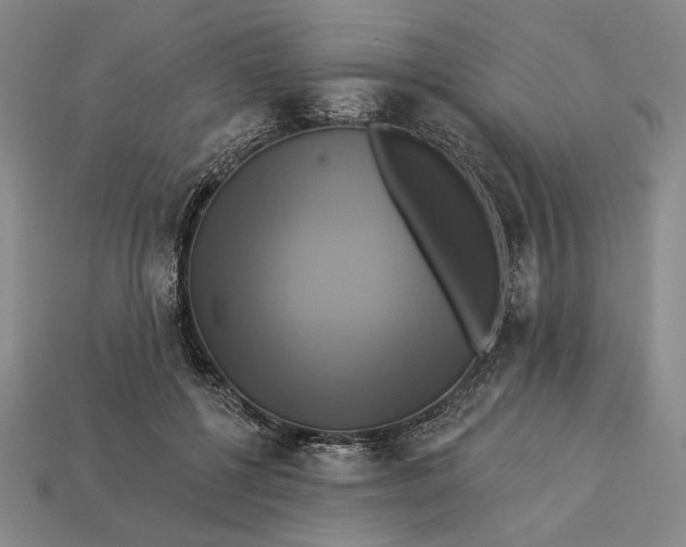 X0000112890552200909111506