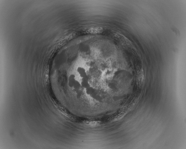 X0000112890553200909111506