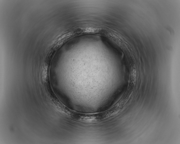 X0000112890554200909111506