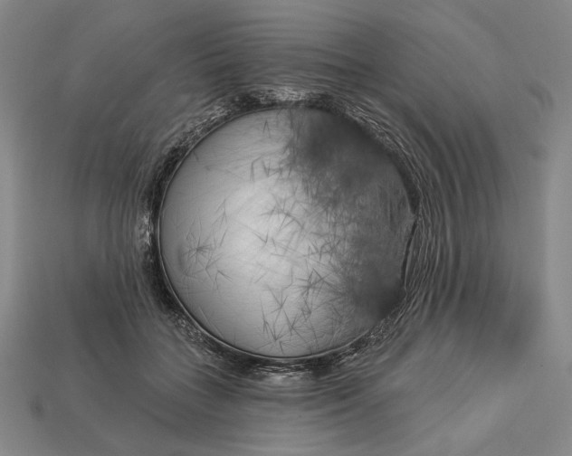 X0000112890555200909111506