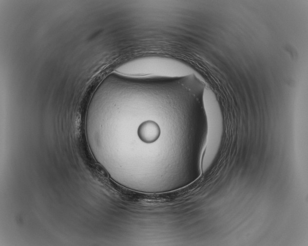 X0000112890556200909111506