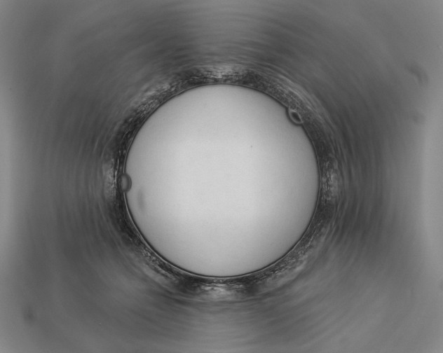 X0000112890558200909111506